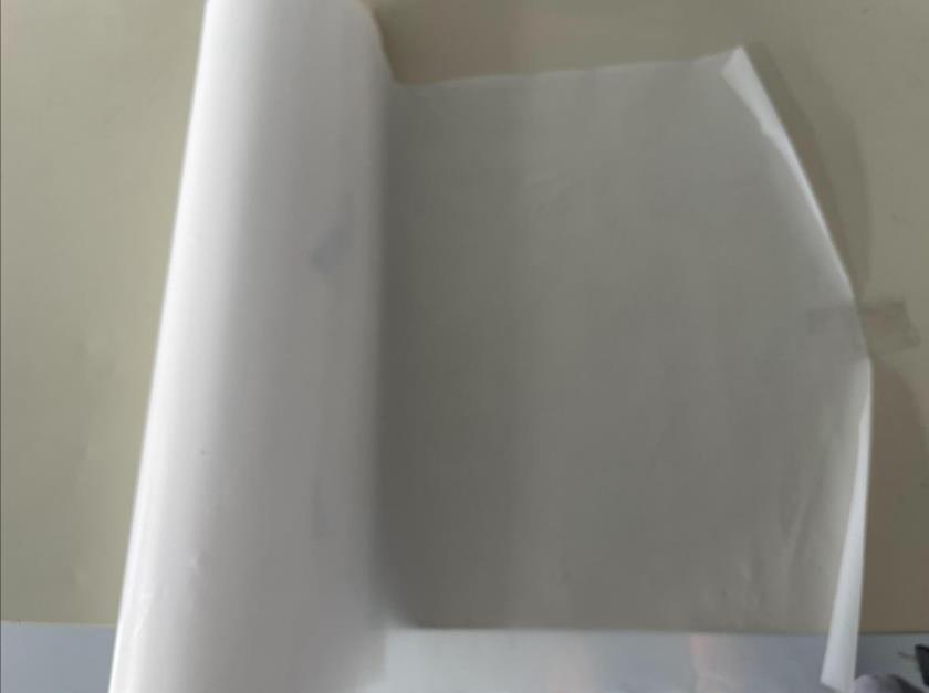 91视频网站免费機