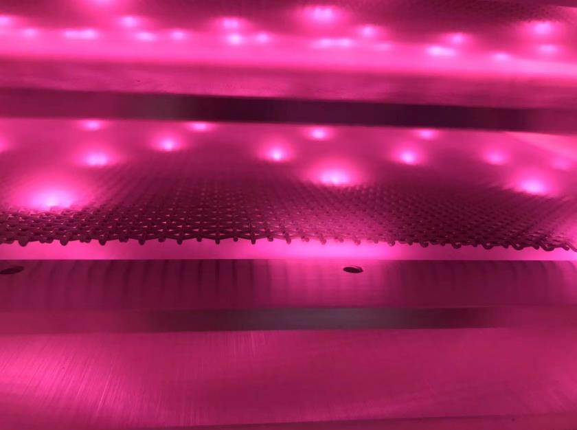 晶圓91视频网站免费機