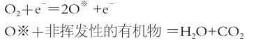 91视频网站免费機
