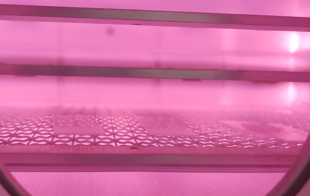 轉瓶91视频网站免费機