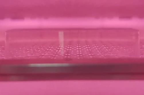 非標91视频网站免费機
