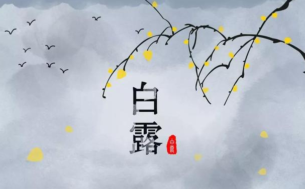 今迎白露，盛夏退場-91视频官网APP91视频网站免费機