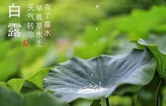 今迎白露，盛夏退場-91视频官网APP91视频网站免费機